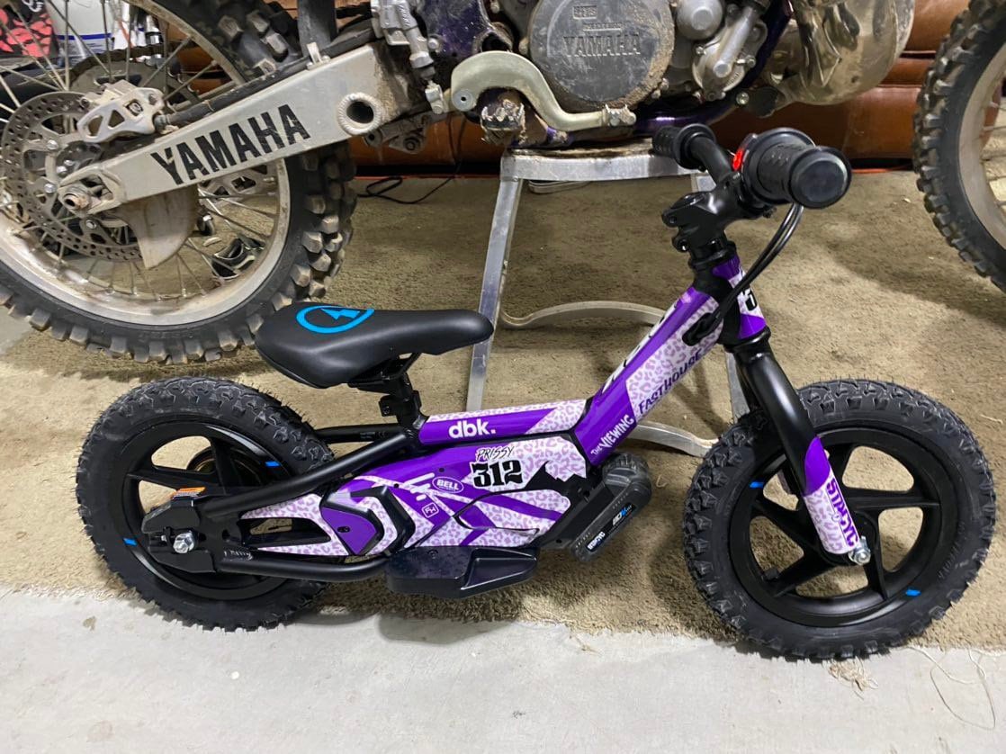 Personalized 12" Stacyc Cheetah Graphics kit, 12" Stacyc Custom Graphics, Stacyc Graphics Kit, 12" Non Brushless Stacyc Decals