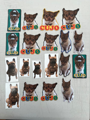 Personalized Pet Stickers, Dog Decals, Cat Decals, Stickers, Custom Pet Sticker, Pet Photo Sticker, Water Proof Pet Stickers